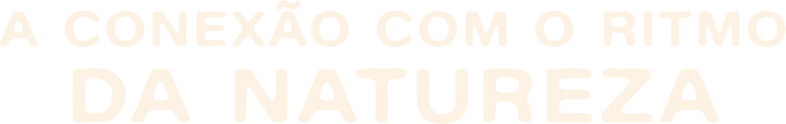 A conexão com o ritmo da natureza